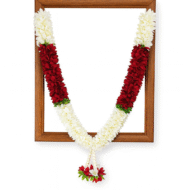 Photo Haar / Garland