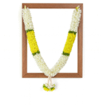 Photo Haar / Garland