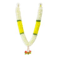 Photo Haar / Garland - Image 3