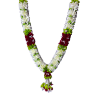 Photo Haar / Garland - Image 5